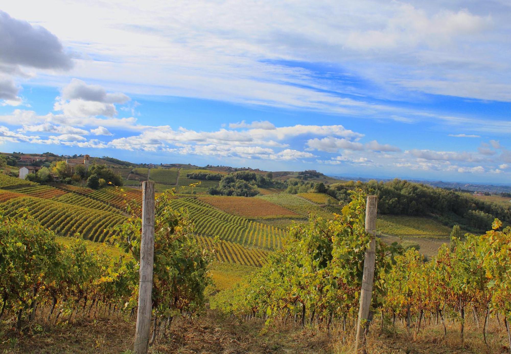 Amazing Langhe And Monferrato | House With Garden Villa Calamandrana Eksteriør billede